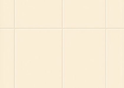 Trusted Shower & Grout Maintenance Tips for Lasting Results