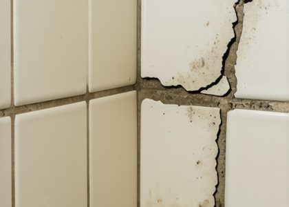 3 Silent Signs Your Shower Tile Grout Is Failing [2026 Update]