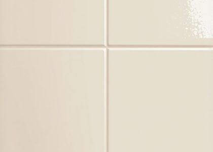 Expert Tile & Grout Maintenance for Lasting Bathroom Beauty
