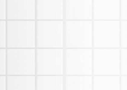 Expert Tips for Long-Lasting Grout & Shower Tile Maintenance