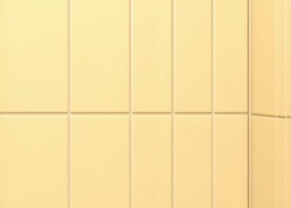 3 Simple Grout Shield Hacks to Stop 2026 Shower Mold [Tested]