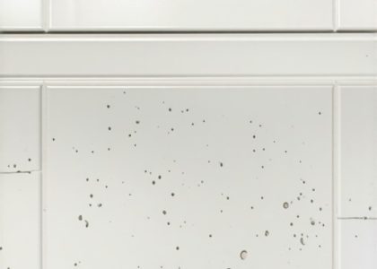 5 Quartz-Composite Baseboards for No-Rot 2026 Shower Trim