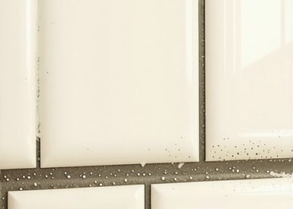 Is Your Shower Leaking? Use This 2026 Grout Test to Find Out