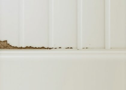 Stop Shadow Gap Mold: 5 Hidden Baseboard Fixes for 2026 Showers