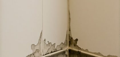 Why Is Your Shower Grout Pitting? 3 Fast 2026 Tactics