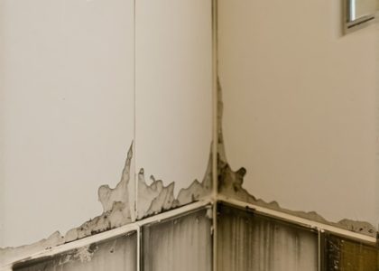 Why Is Your Shower Grout Pitting? 3 Fast 2026 Tactics